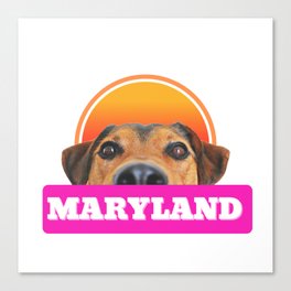 Maryland peekaboo  Canvas Print