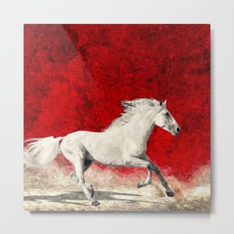 A brave white horse Metal Print