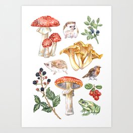 Woodland Mushrooms & Hedgehogs Art Print