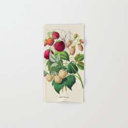 Raspberry Antique Botanical Illustration Hand & Bath Towel