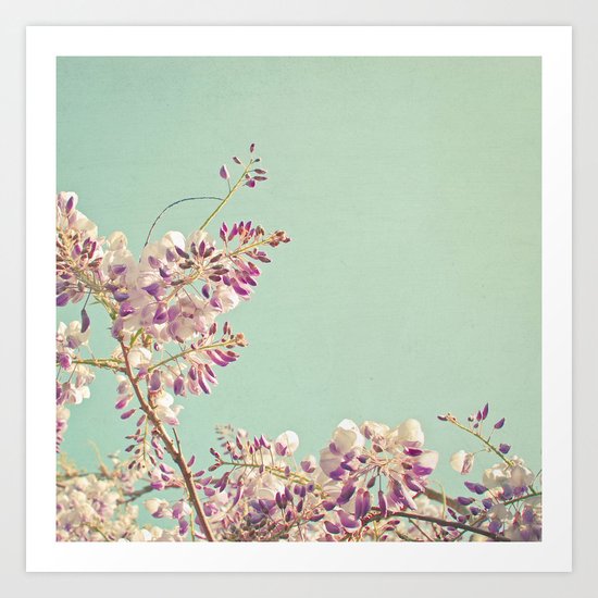 Wisteria Art Print