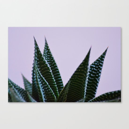 #136 Canvas Print