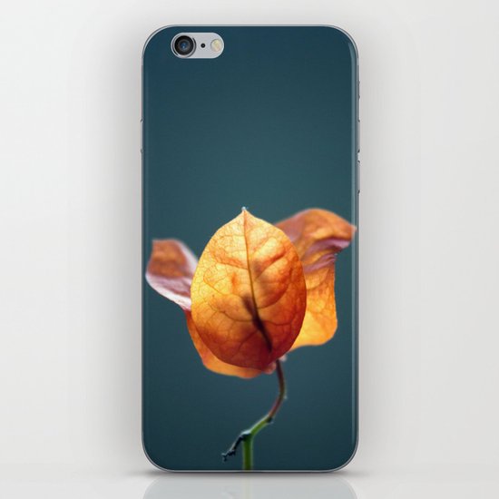 Wait Here iPhone & iPod Skin