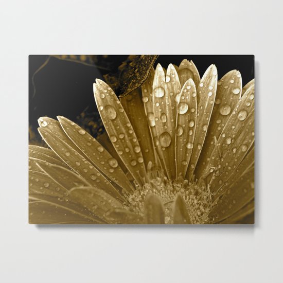 After the Rain Came Metal Print