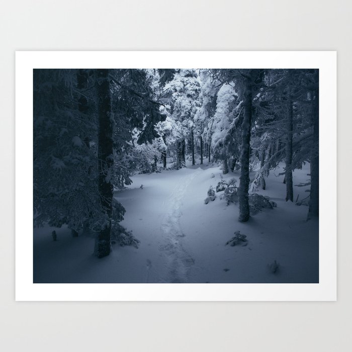 Winter in the Whites Art Print
