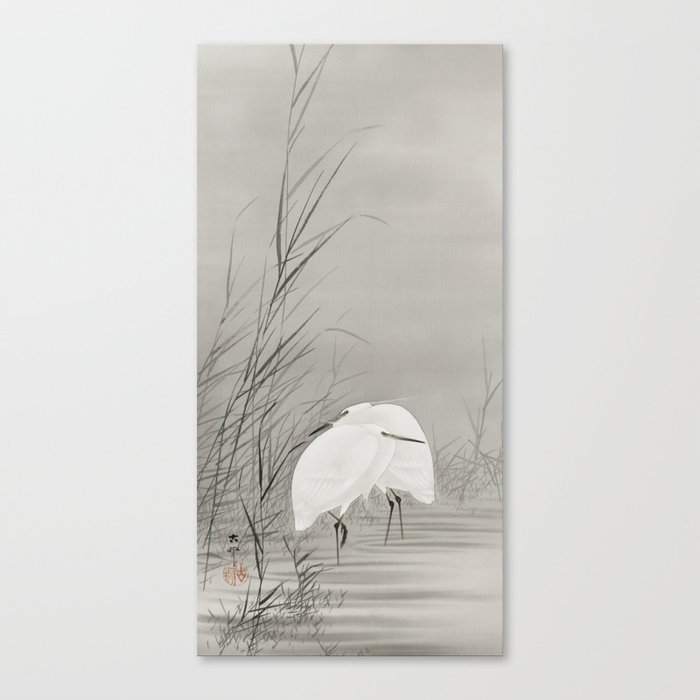 Ohara Koson - Egrets in a swamp Canvas Print
