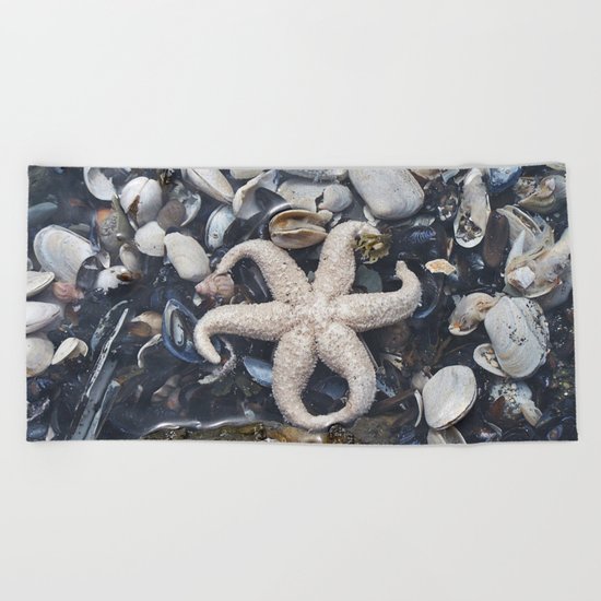 Starfish and Shells Beach Towel