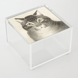 The Favorite Cat Vintage  Acrylic Box