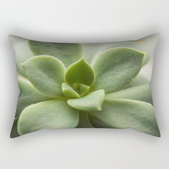 Succluent sunshine Rectangular Pillow