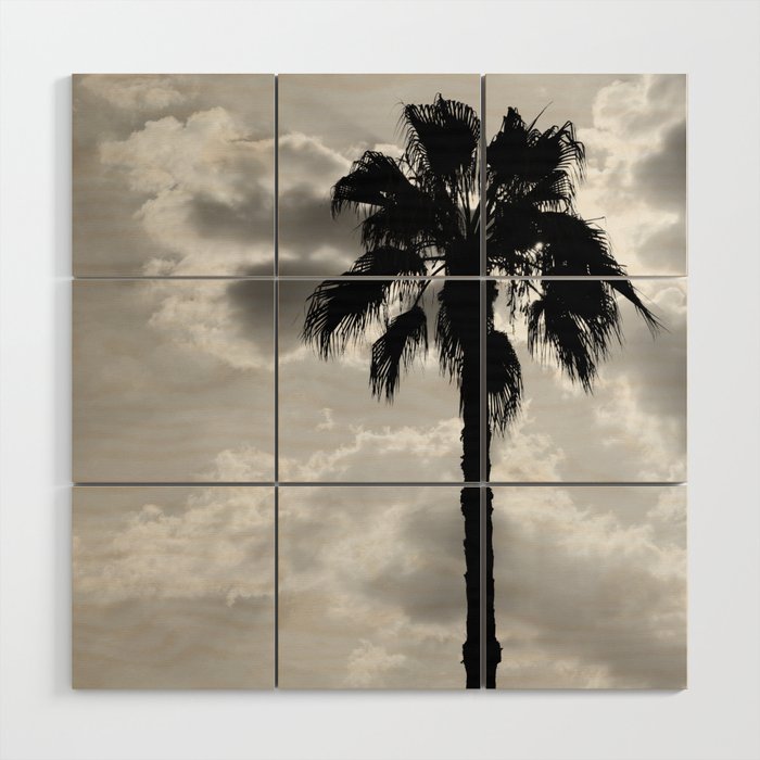 Palm Trees In Black And White Wood Wall Art