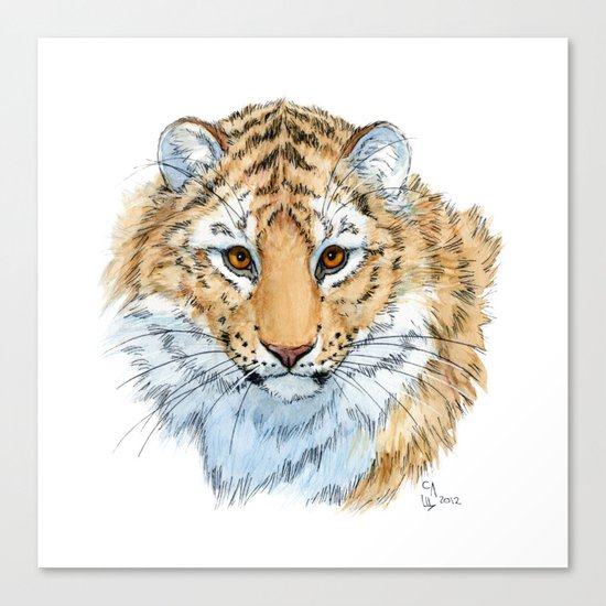 Young Sweet Tiger Canvas Print