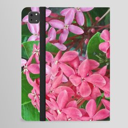 Mexico Photography - Pink Flowers Surrounded By Leaves iPad Folio Case