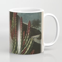Temple of Flora : The Maggot-bearing Stapelia Coffee Mug