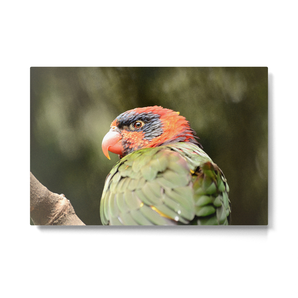 Tropical Bird Metal Print by someotherness