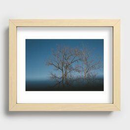 Tree Reflection Recessed Framed Print