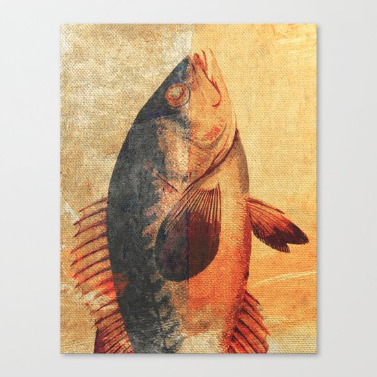 Piscibus 9 Canvas Print