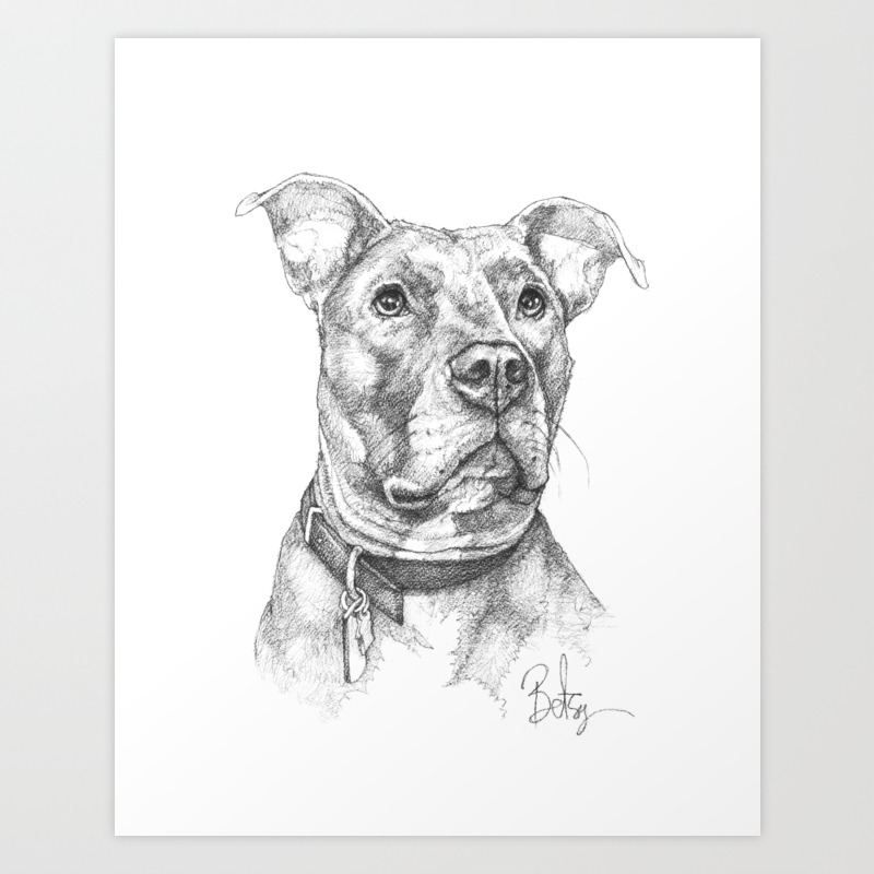 society6