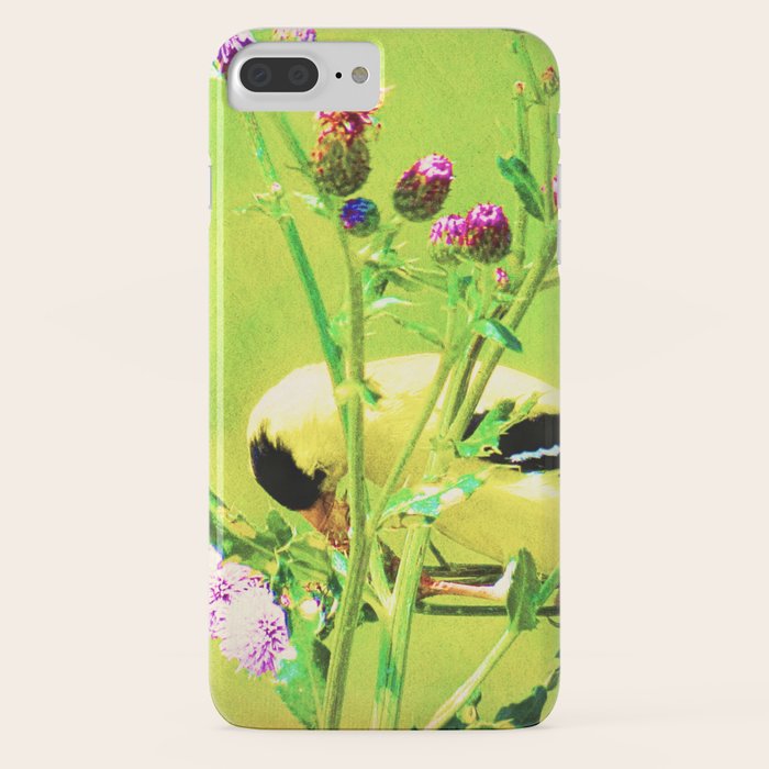 society6