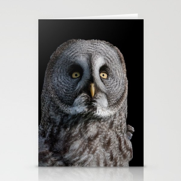 GREY OWL Stationery Cards