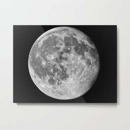 Moon Lover 1 Metal Print