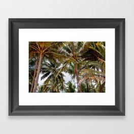 Palm trees on tropical Island of Thailand / fine art travel photography Framed Art Print