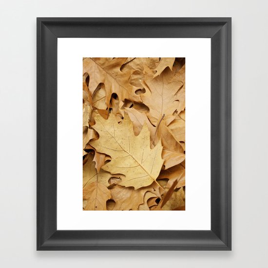 Brown fallen leaves Framed Art Print