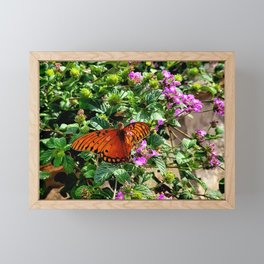 Vibrant Butterfly Framed Mini Art Print