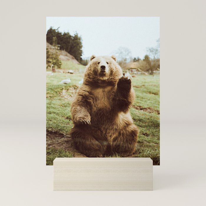 小物入れ Hi Bear Wood Wall Art by beccatapert Hi Bear Wood Wall