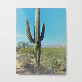 Saguaro Metal Print