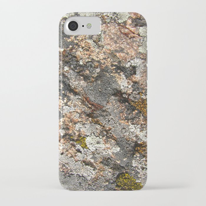 lichen 01 iPhone Case