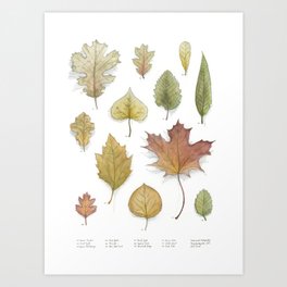 Autumnal Cartography Art Print
