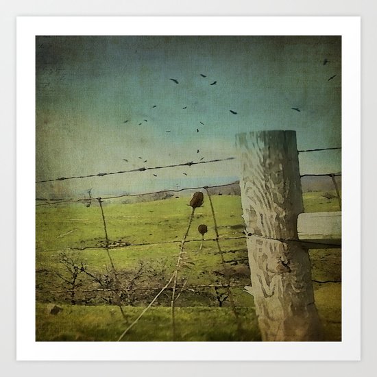 Wild West Fence Art Print