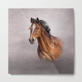 Drawing portrait  horse Metal Print | Digital, Care, Animal, Head, Graphic, Background, Colt, Grazing, Doodle, Chestnut 