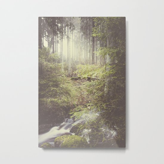 The paths we wander III Metal Print