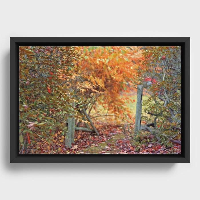 Autumn Framed Canvas