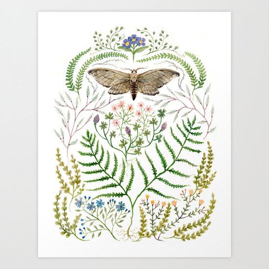 Moth with Plants II Art Print