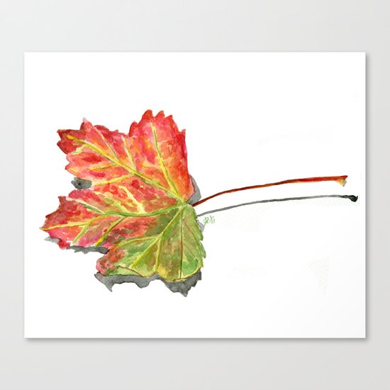 Autumn leaf of maple Canvas Print