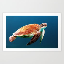 Turtley Art Print | Sea, California, Funny, Beach, Ocean, Photo, Nautical, Waves, Summer, Bay 
