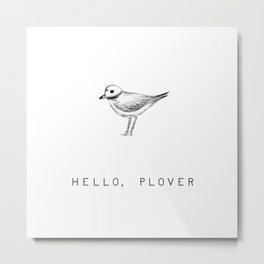'Hello, Plover' Piping Plover from Maine Metal Print