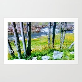 Three Rivers California Art Print | California, Photo, Nature, Digital, Meadow, Greenery, Cottagecore, Color 