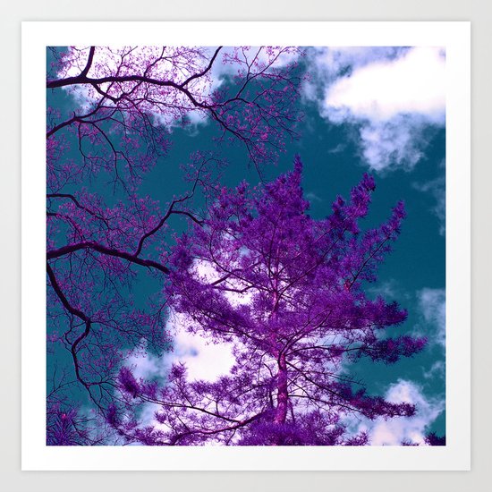 purple fir-tree II Art Print