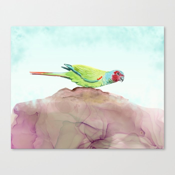 Parrot Painting - Pfrimer's Parakeet Tropical Bird Print - Nature Art for Bird Lovers  Canvas Print