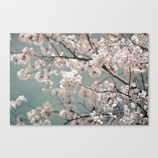 a sky full of blossoms Canvas Print