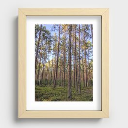 Into the woods Recessed Framed Print