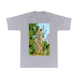 Watercolor Seed, Goldenrod 01, RMNP, Colorado T Shirt | Field, Mountain, Digital, Watercolor, Park, Seed, Rocky, National, Colorado, Estes 
