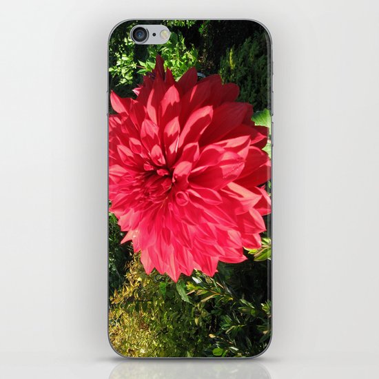 Blooming Just For You iPhone & iPod Skin
