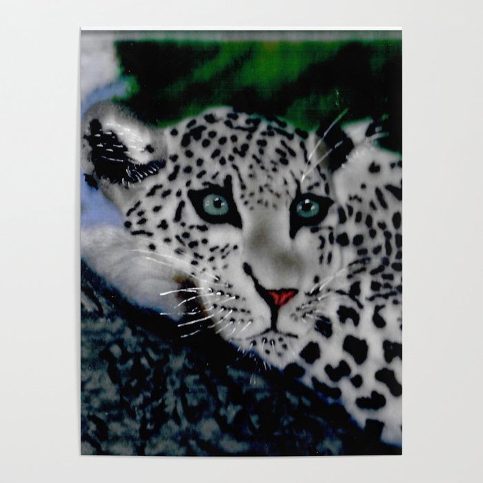 Lounging Leopard Poster