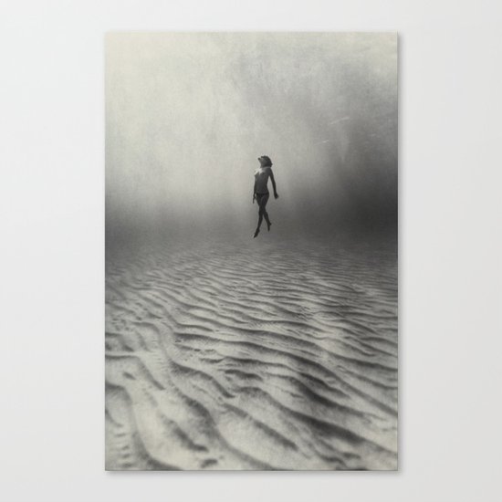 140701-4892b Canvas Print