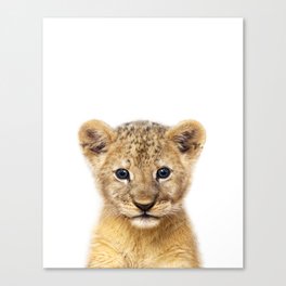 Baby Lion, Safari Animals, Kids Art, Baby Animals Art Print By Synplus Canvas Print