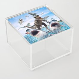 Dinosaur Riding Sharks Acrylic Box
